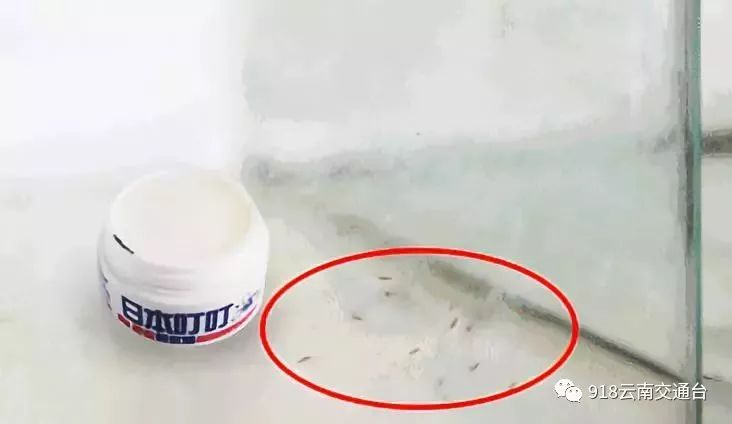 蚊子叮咬止痒膏0.01元,防蚊子膏