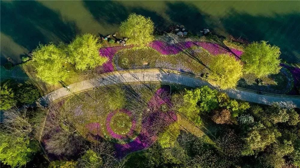 丝巾准备好了吗？杭州绚烂的花海等你们摆起五星