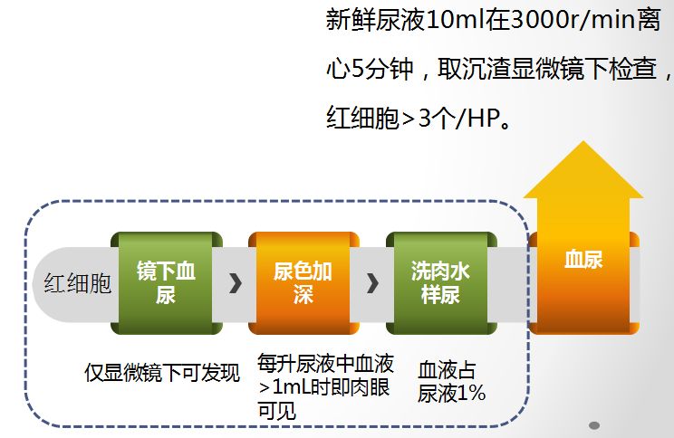 科普肾脏,医学科普出汗和肾脏关系