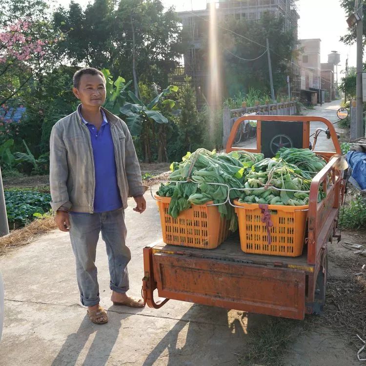 肇庆砚洲岛美景,行摄肇庆
