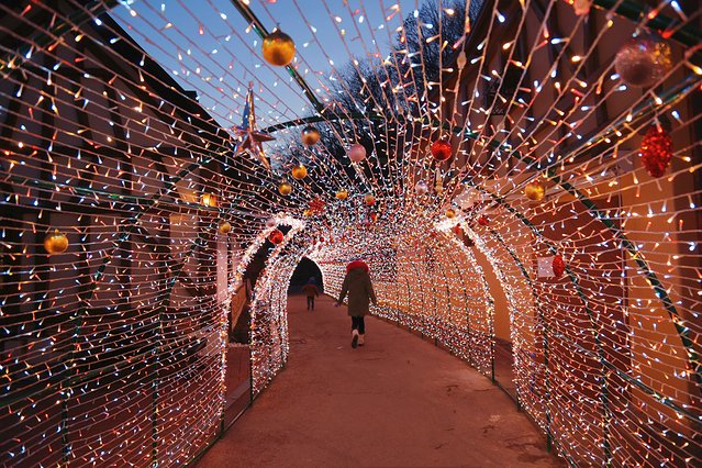济州冬日的海，首尔春日的花，那些电影里的故事