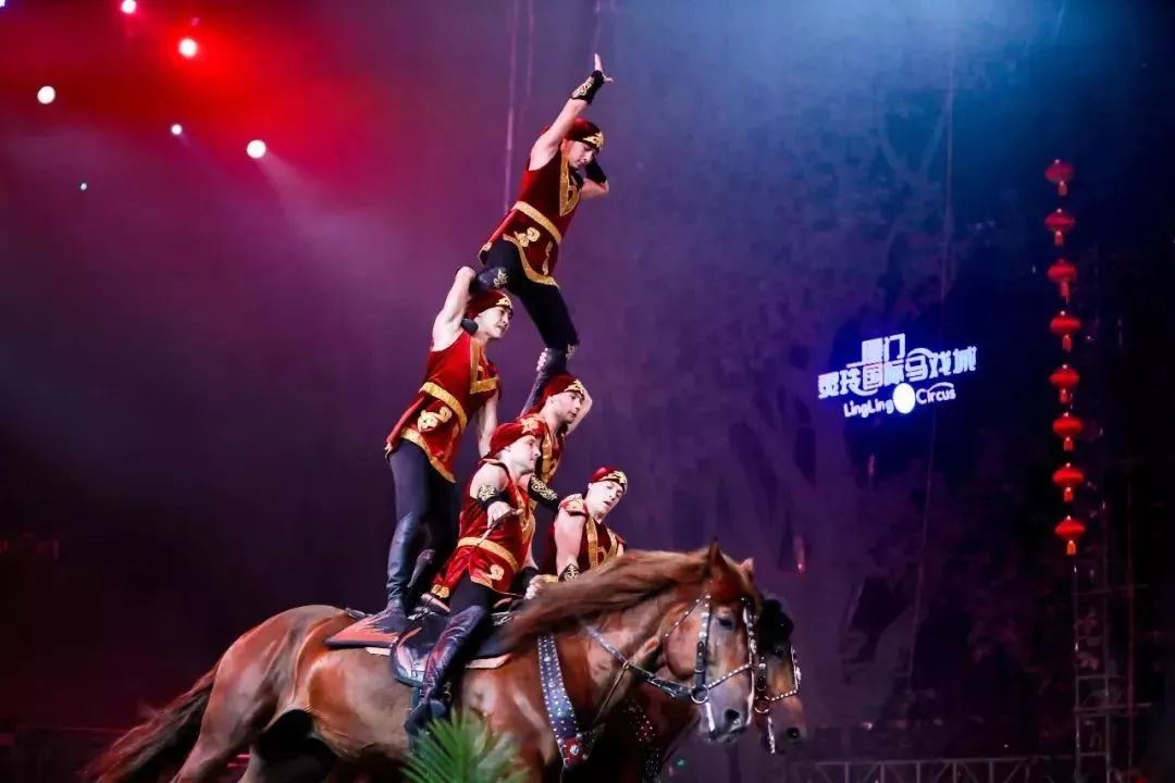 灵玲国际马戏城儿童节,厦门灵玲国际马戏城大熊猫叫什么