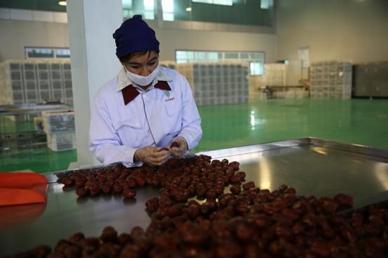 黄李强段淑敏:枣想告诉你|红枣期货上市必知小知识!