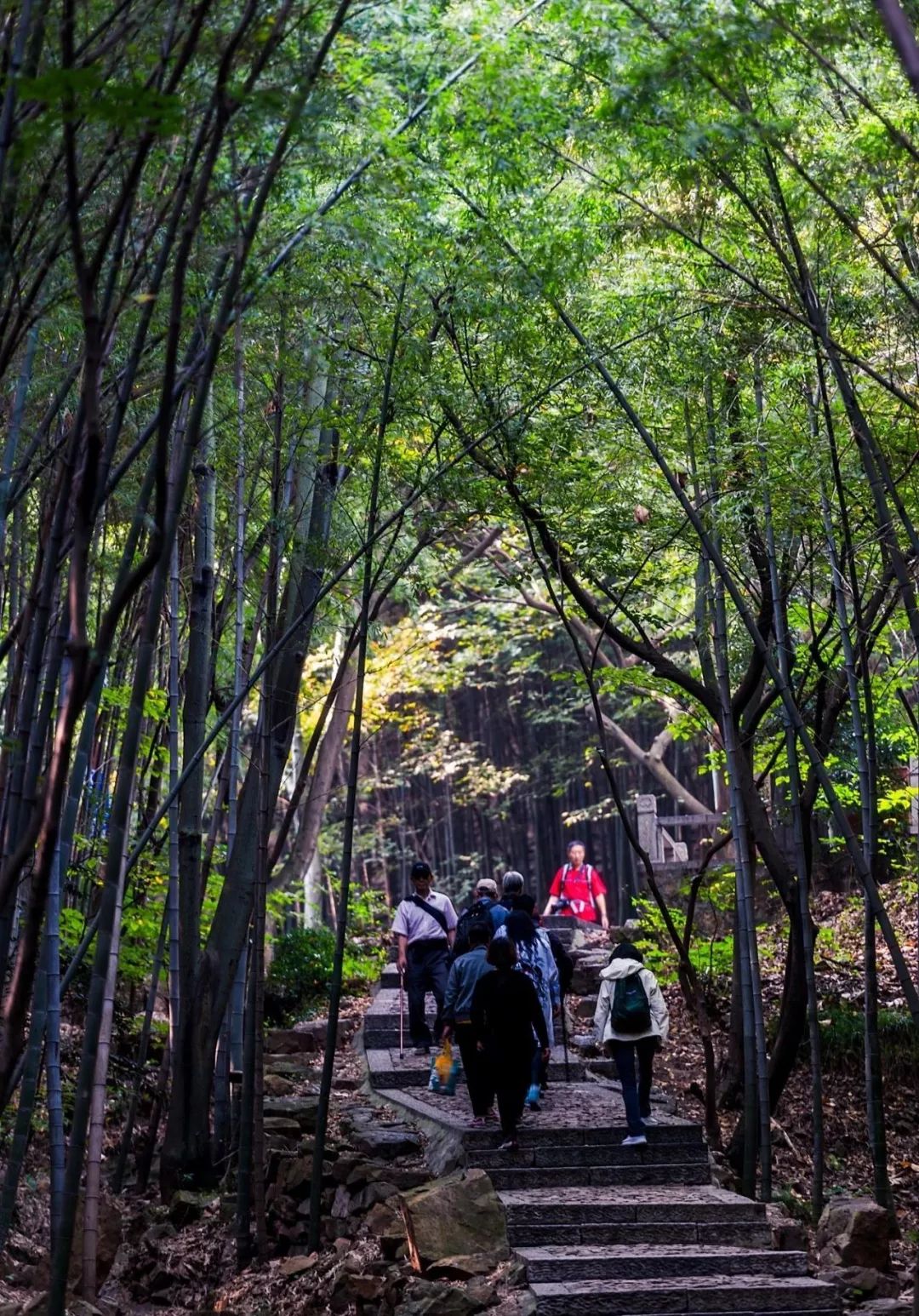 苏州4a级景区门票价格,苏州4a景区门票价格