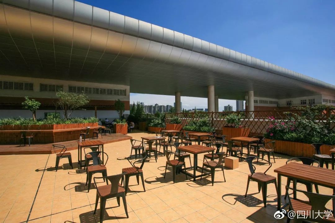 川大望江校区周边拍照打卡地,宝藏公园免费拍照地点