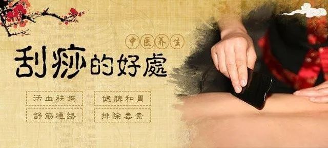 它是福州三宝之一，也是养生神器！还等什么，赶紧用起来！