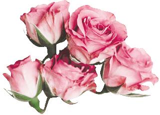 以案释法下一句,以案释法的目的