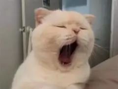 水光针副作用这么可怕,水光针有什么医疗隐患吗