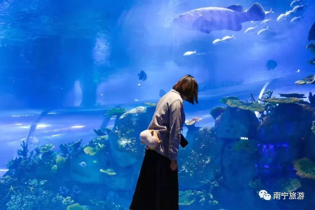 南宁玩乐好地方推荐,南宁晚上玩乐地方