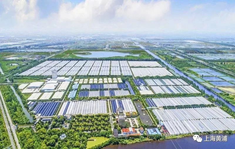 调研手札,调研走访服务企业