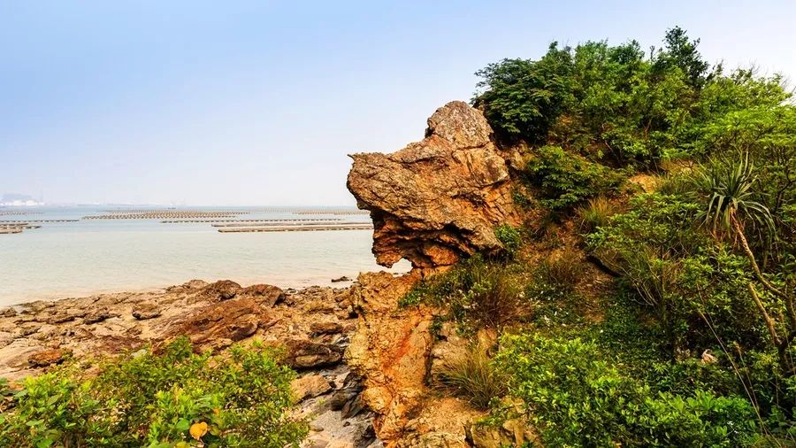 閽撻笨楸艰棰戦槻鍩庢腐,閽撻笨楸奸槻鍩庢腐