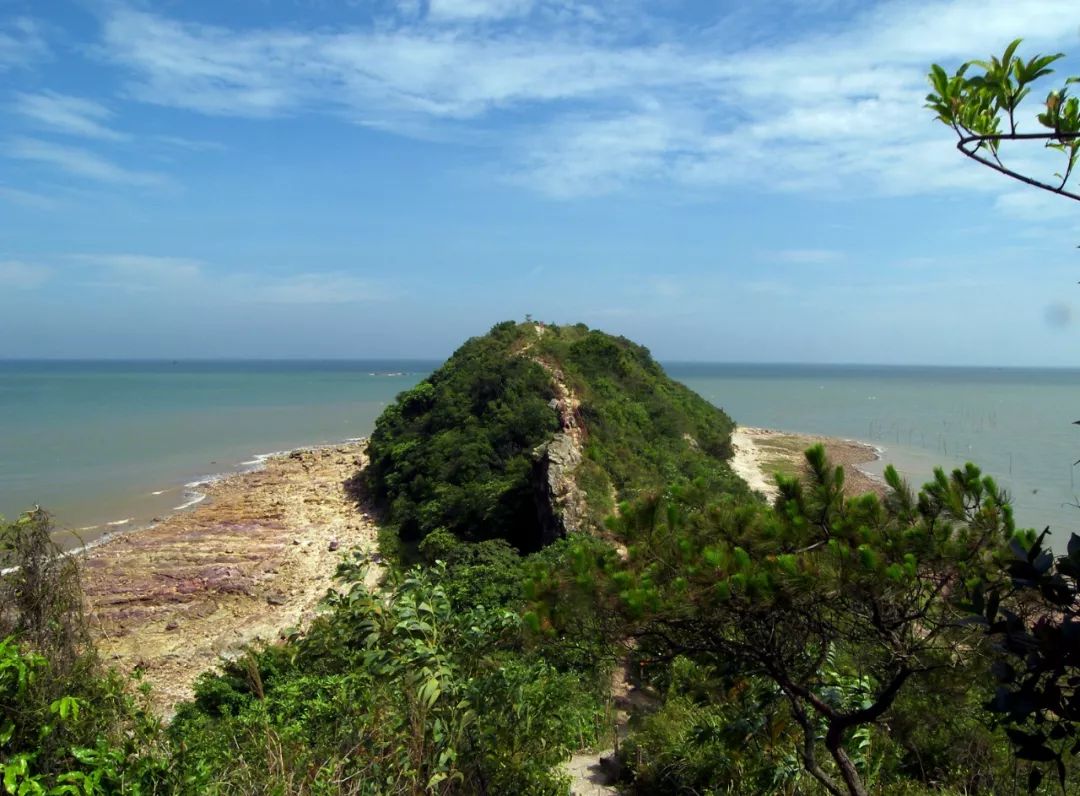 閽撻笨楸艰棰戦槻鍩庢腐,閽撻笨楸奸槻鍩庢腐