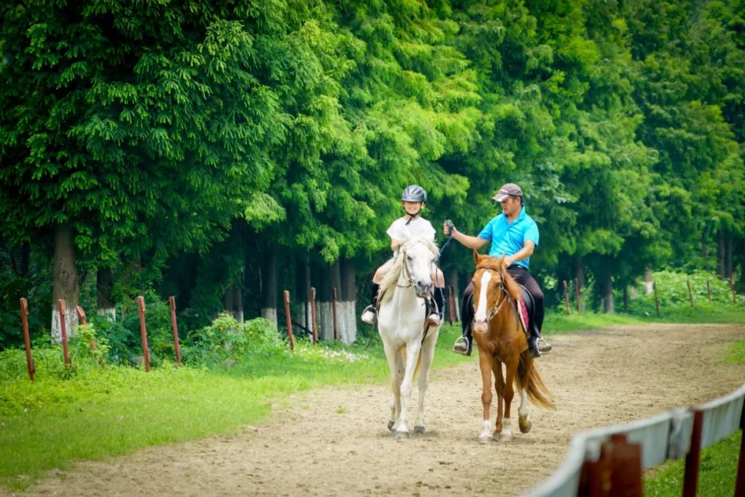千岛湖三天两夜遛娃攻略,千岛湖遛娃免费景点攻略