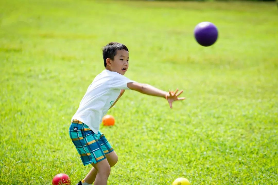 千岛湖三天两夜遛娃攻略,千岛湖遛娃免费景点攻略