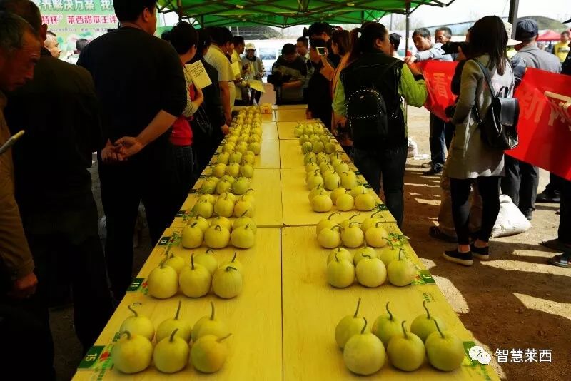 甜瓜节地点,马连庄甜瓜节开幕式