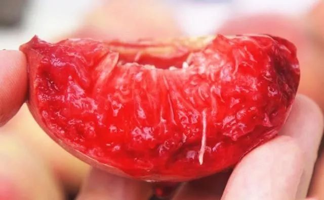 娴峰彛瑗挎捣宀告俯娉夊摢閲屽ソ,闈掑矝瑗挎捣宀告俯娉夊摢閲屽ソ