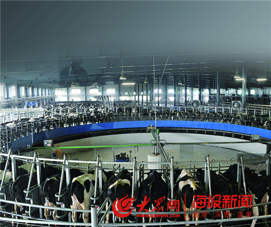 得益乳业酸牛奶,得益牛奶臻选