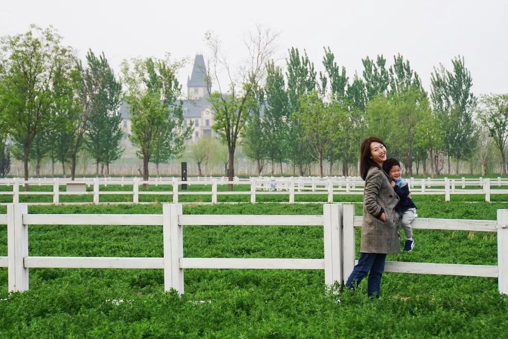 文安鲁能酒店团购,文安鲁能希尔顿酒店三八节自助餐