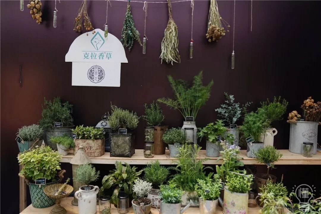 北京最美花店在哪里,北京哪个花店最美丽又好看