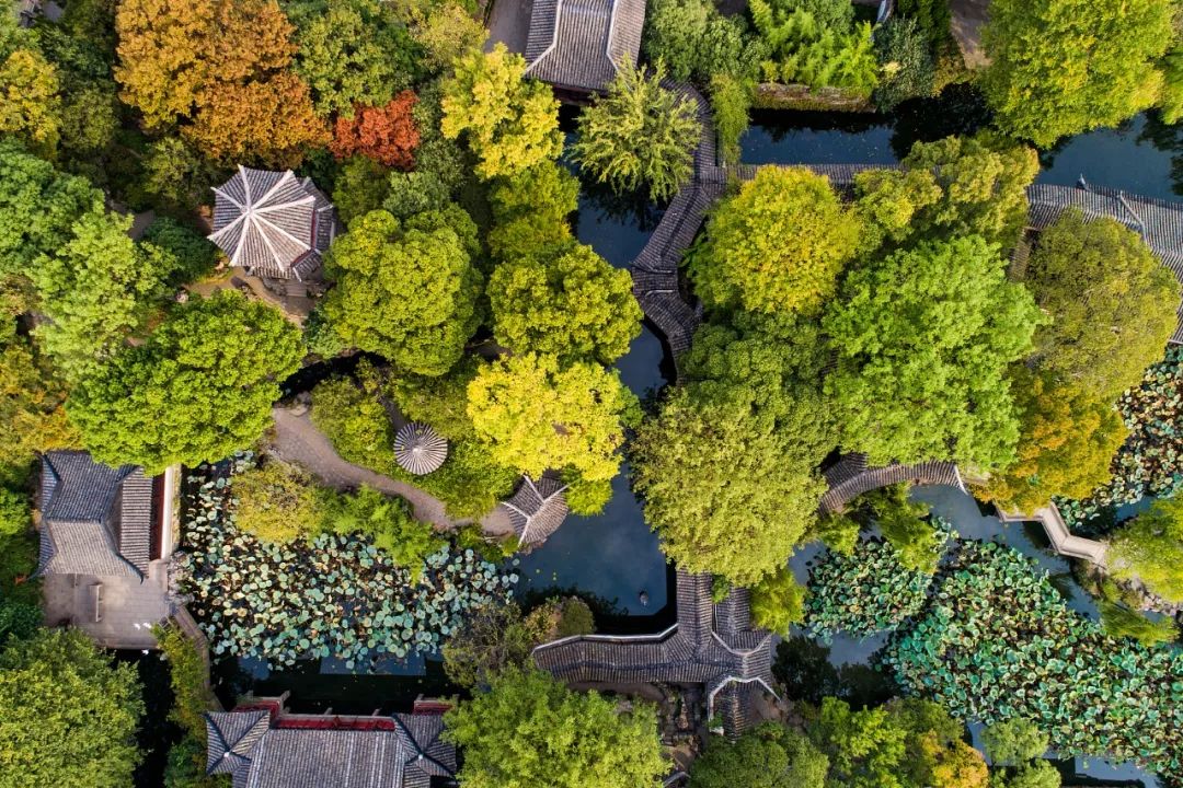 100个极易错的字,一读就错的100个常见字