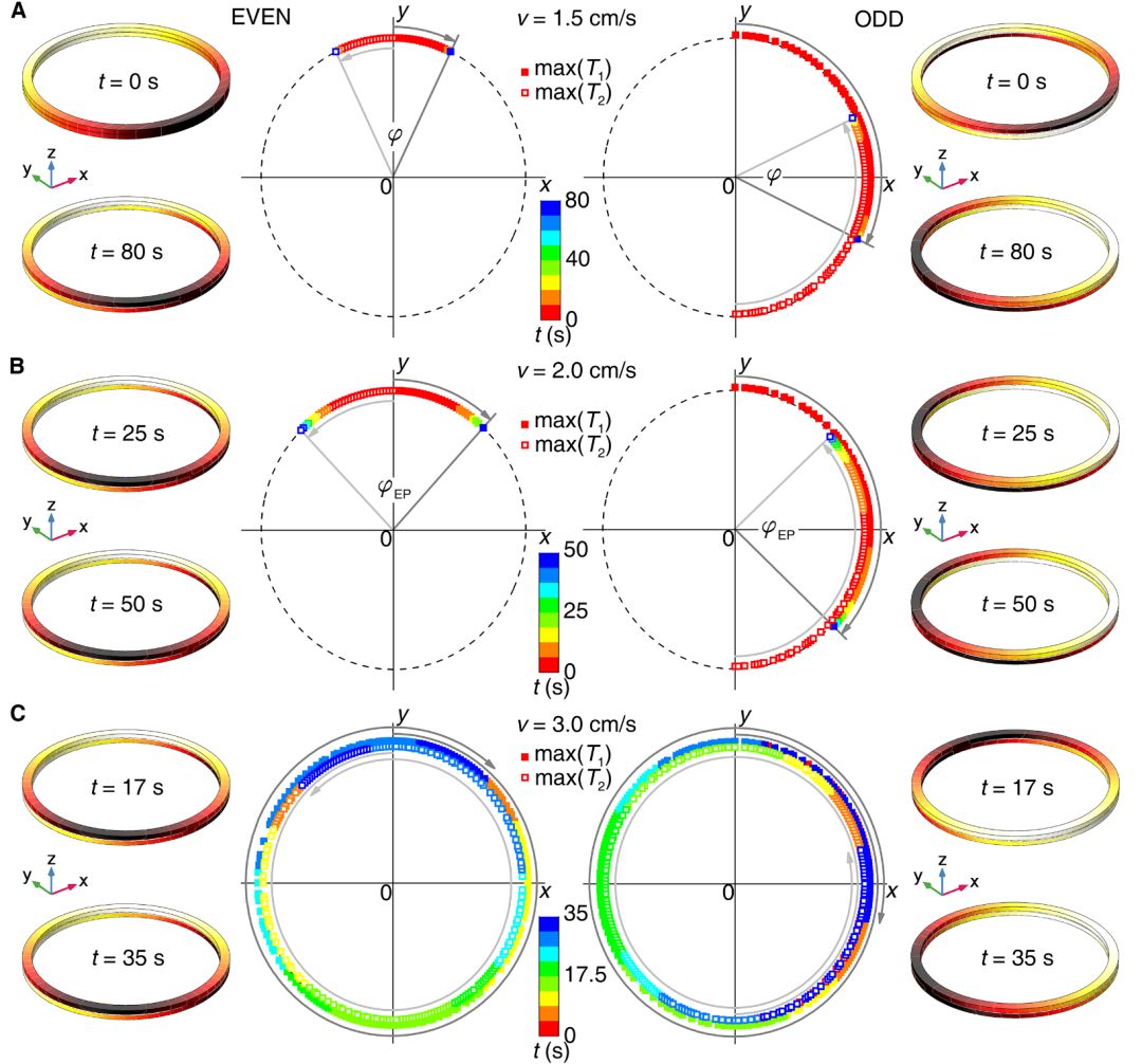 Science:传热中的反宇称-时间对称