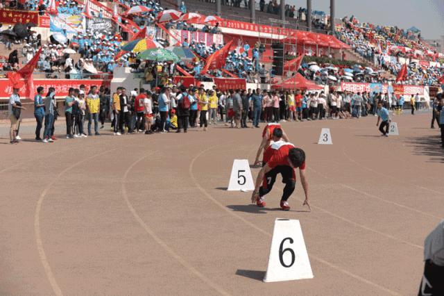 最新运动会秩序册,运动会秩序表