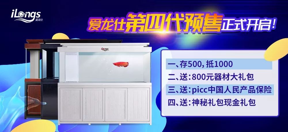 如何选择合适的鱼缸,如何选择一款适合自己的鱼缸