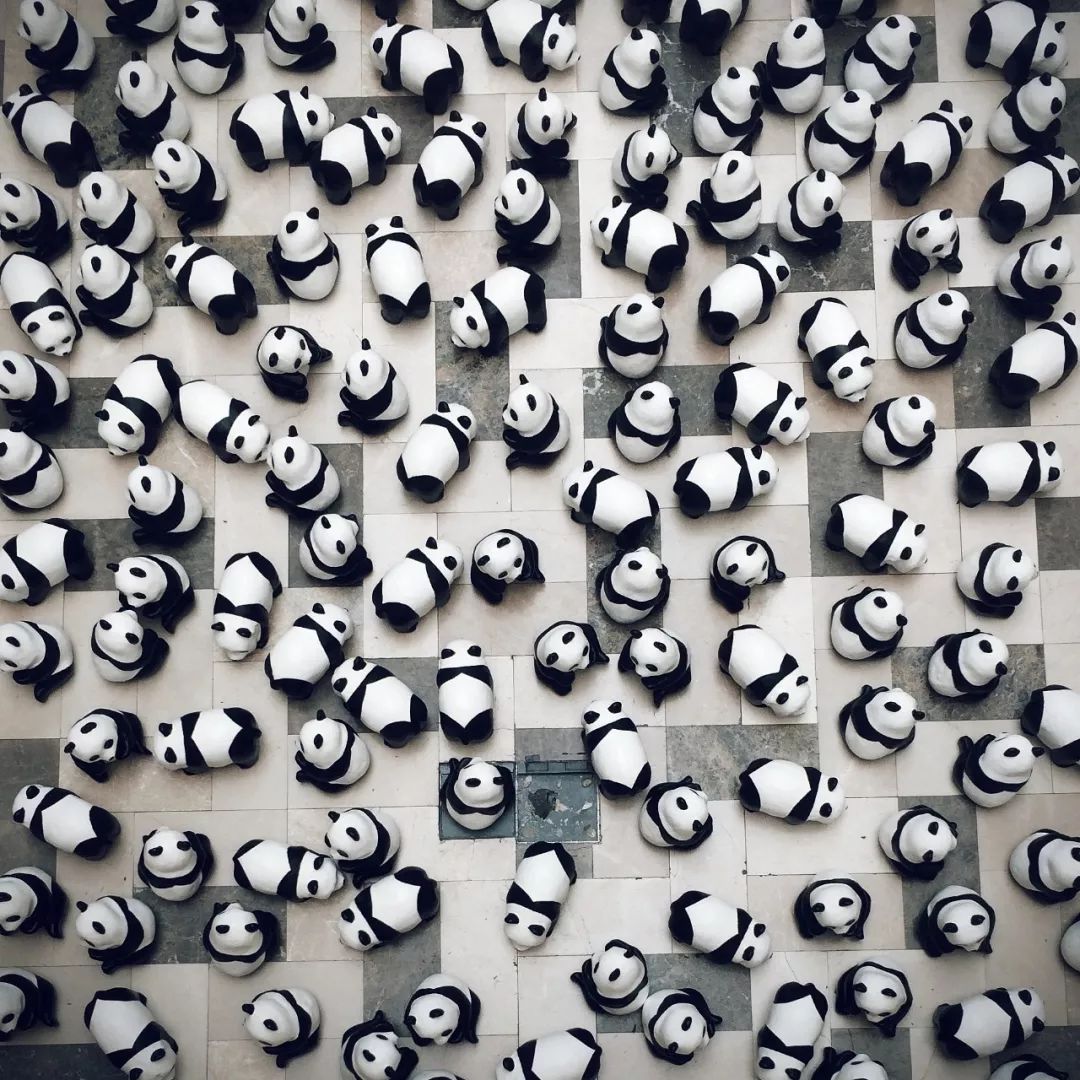 熊猫萌,熊猫萌啦