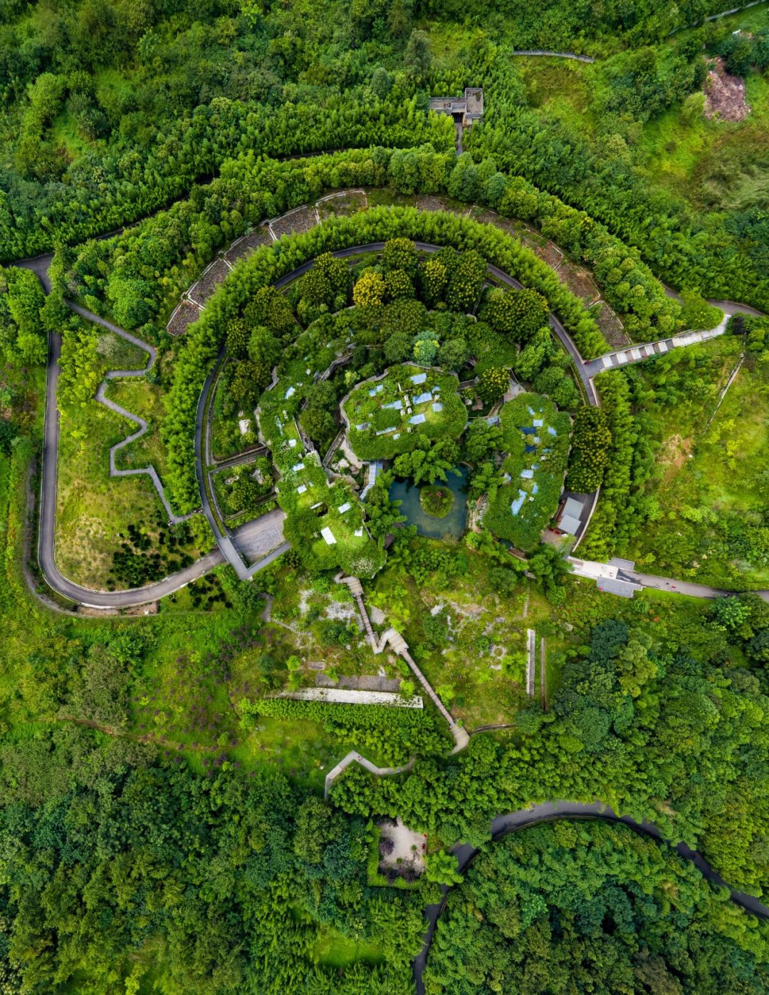 熊猫萌啦,熊猫萌化