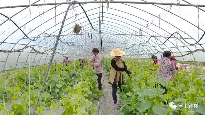 钟祥市：扶贫车间就近就业，脱贫致富不等不靠