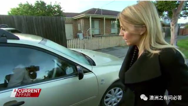 女代购被捕,大量代购奶粉被查官方回应