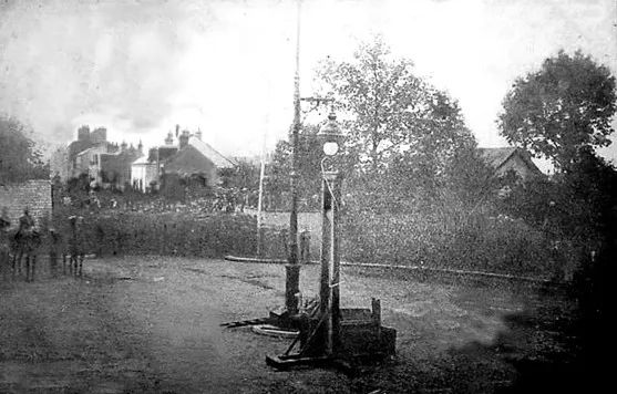 恐怖活体实验,恐怖残忍抽血实验