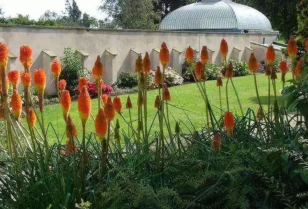 待天气晴好,伦敦阴雨天去哪旅游好