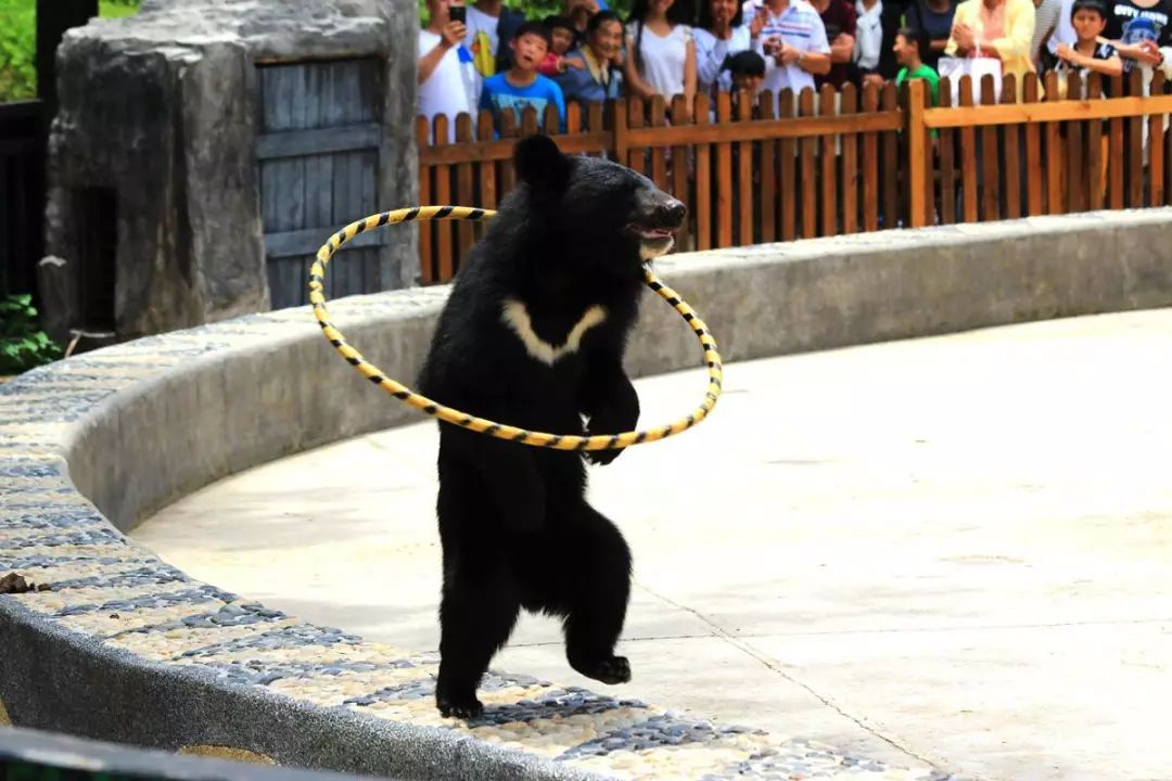 【潮玩】走啊，一起出去“浪里个浪儿~~~”