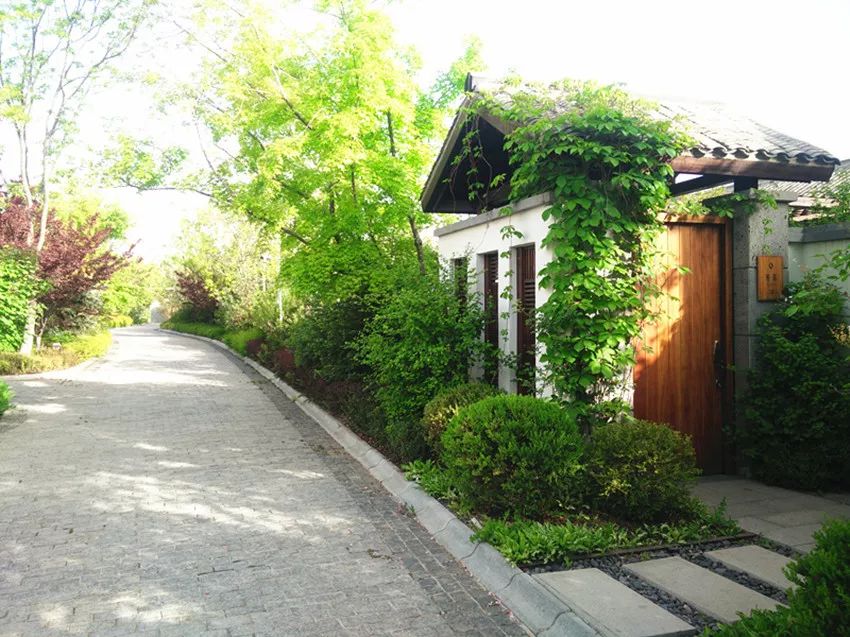 玩遍大连丨零距离接触大自然一定是很多人的选择，一起去普兰店看看吧。