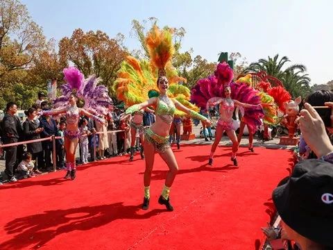 去处｜你真的知道怎么玩转上海野生动物园吗？最全指南在这里！