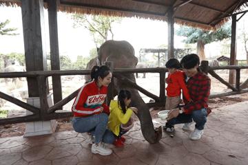 上海野生动物园游览攻略,上海野生动物园的旅游路线示意图