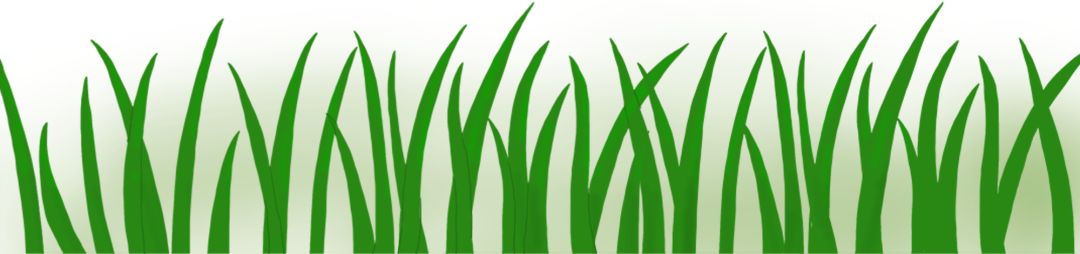 山东植保双交会招商,2019山东植保双交会