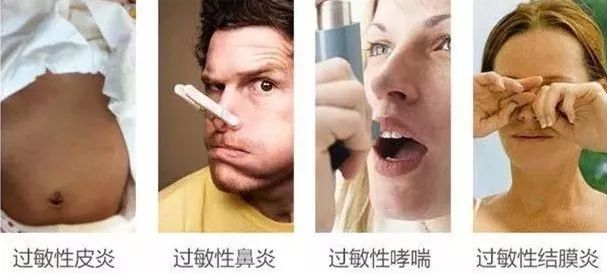 被窝除螨虫最好的办法,教你1分钟清除99%的螨虫