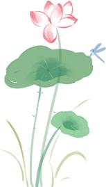 您好,这里是成县!