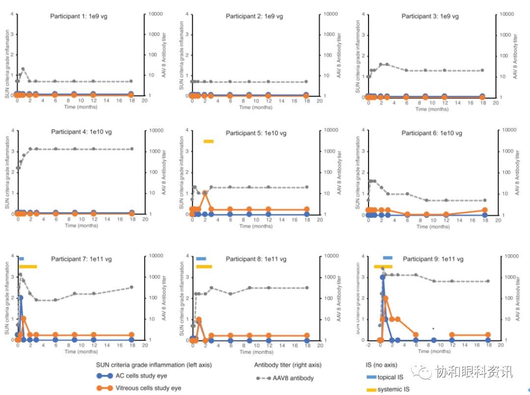 文摘速递丨X-连锁视网膜劈裂基因治疗的I/IIa期临床试验