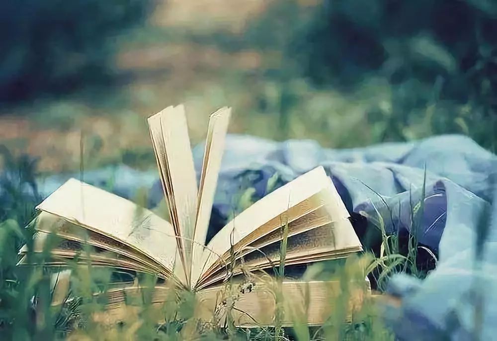 道德经智慧深度解读,智无止境解读