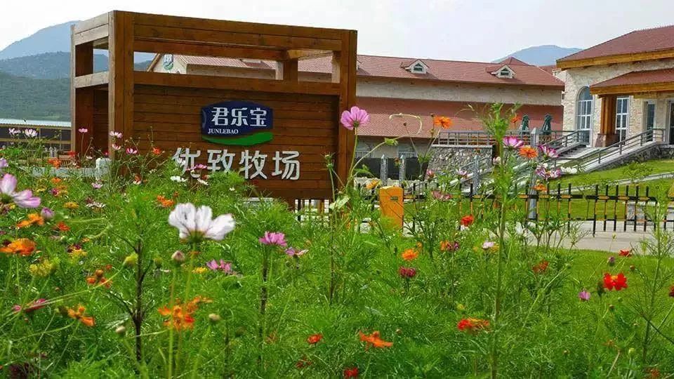 石家庄五一打卡景点推荐,石家庄周边必打卡旅游景点