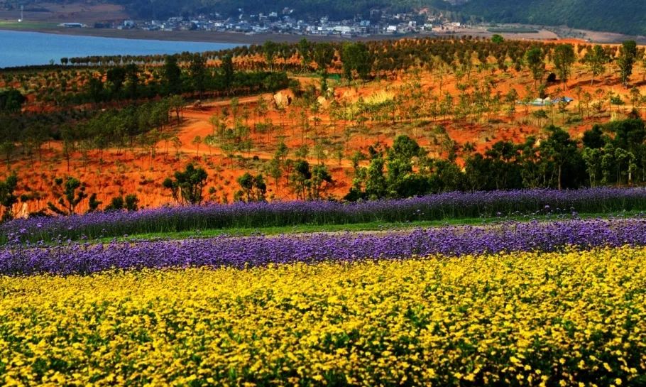 昆明潮玩攻略,昆明到弥勒自驾游详细路线