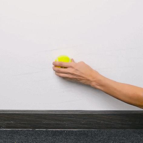 家里墙壁发霉怎么快速去除,墙壁发霉有很多小虫子怎么去除