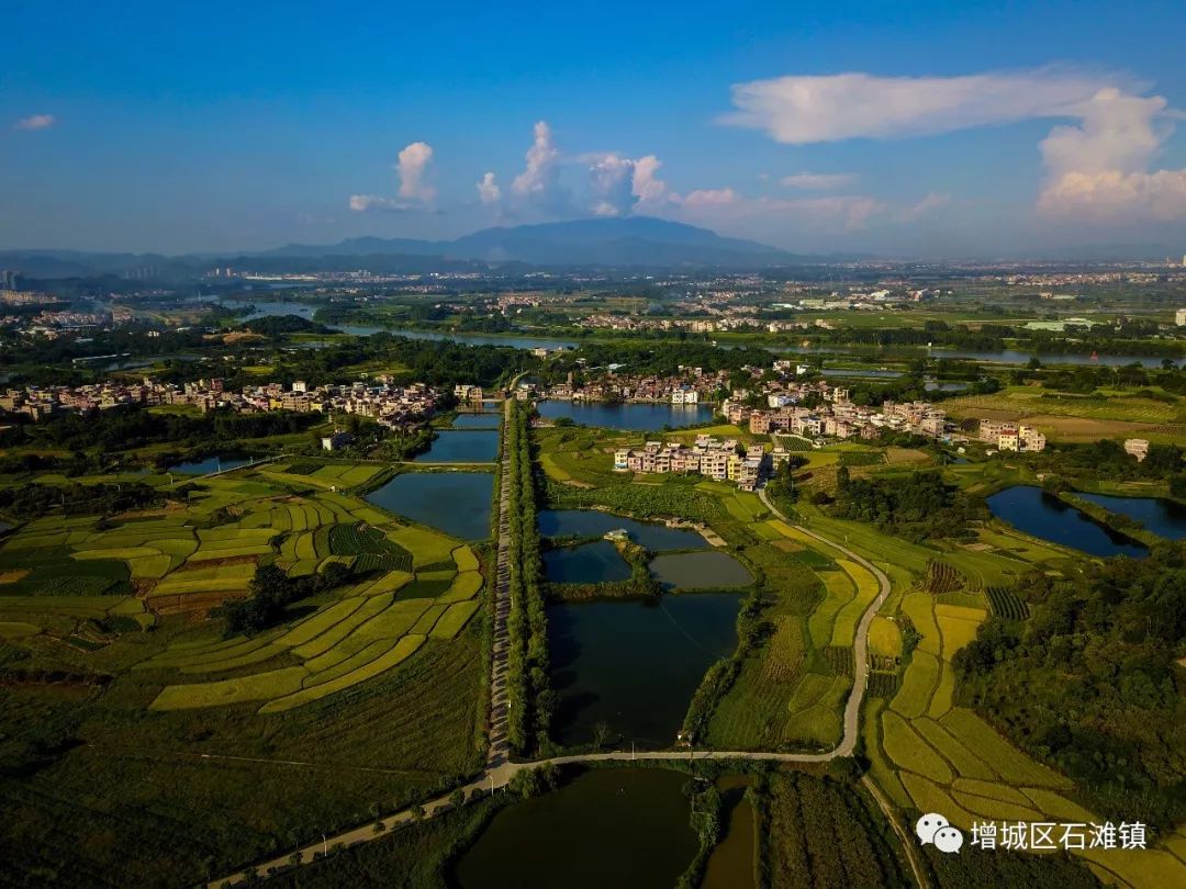 广州市增城区乡村风景图片,增城美丽乡村图