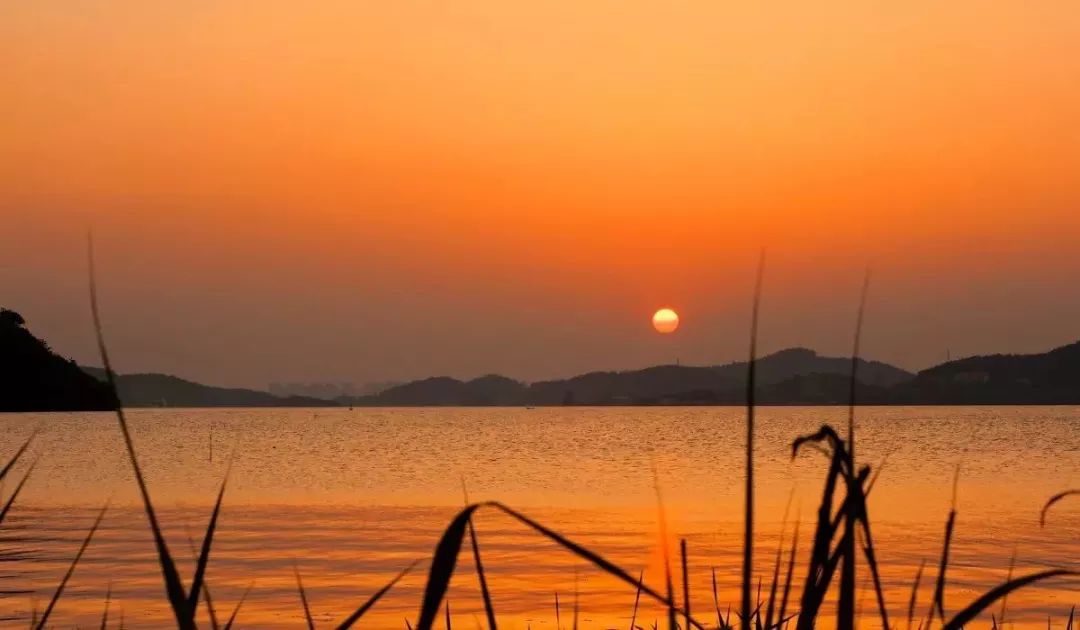 柏悦99元套餐,宁波柏悦优惠团购