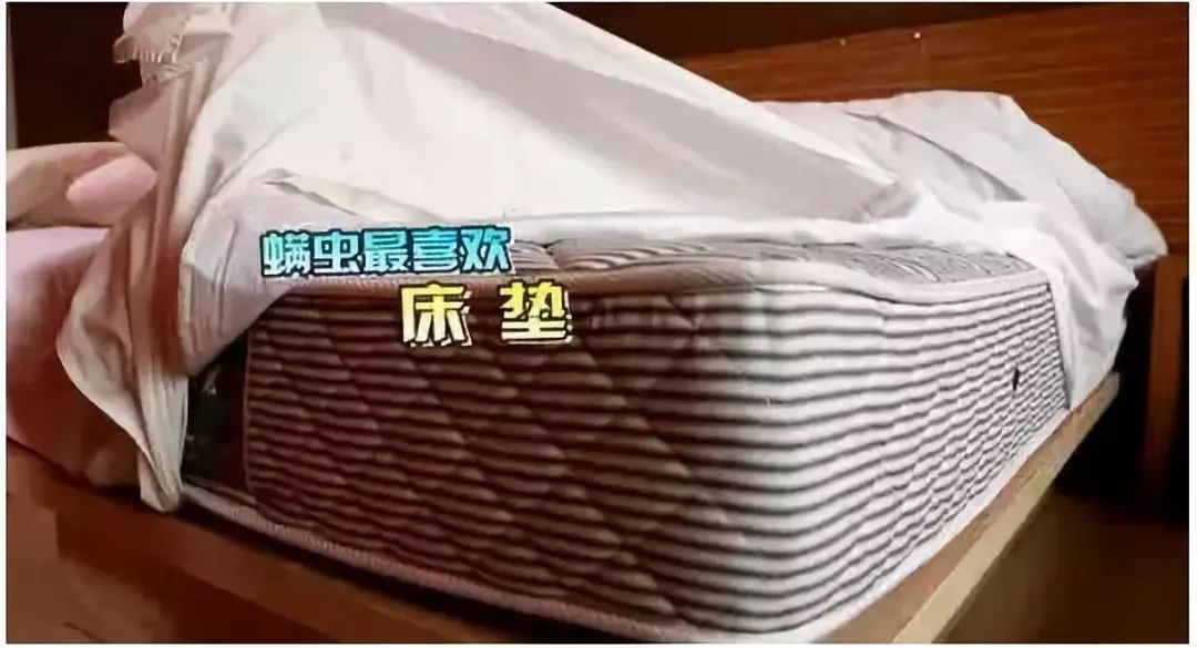 不用洗床单晒被子怎么除螨虫,螨虫去除妙招不用花露水