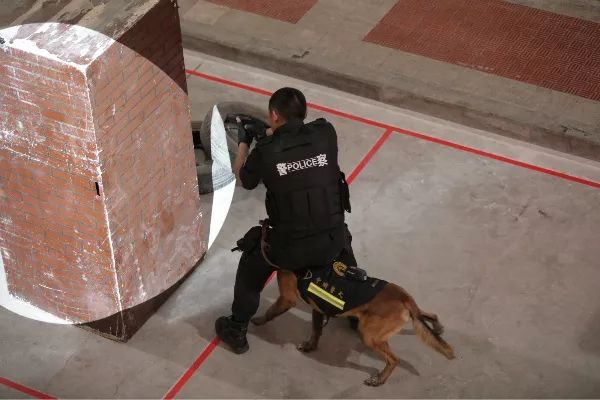 甯﹁柂鎾哥嫍宸ヤ綔鎷涜仒,鎾哥嫍鎷涜仒