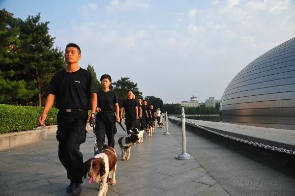 甯﹁柂鎾哥嫍宸ヤ綔鎷涜仒,鎾哥嫍鎷涜仒